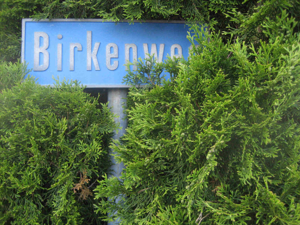 Birkenweg